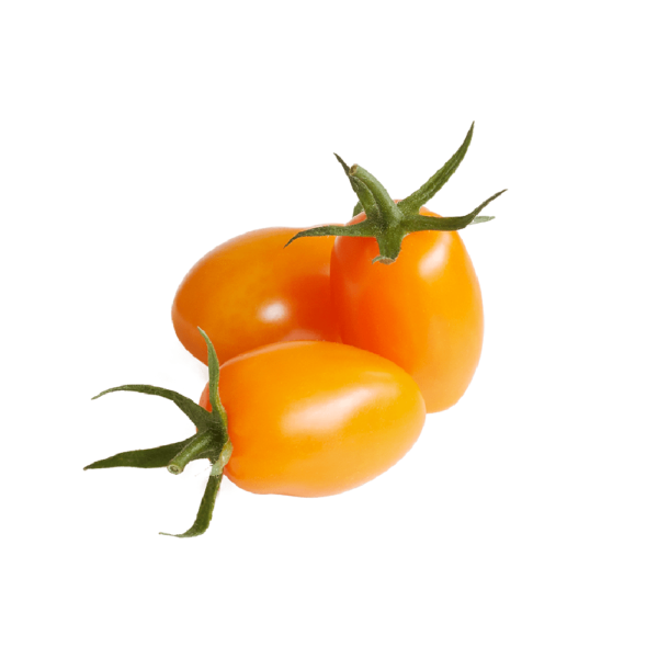 שרי כתום